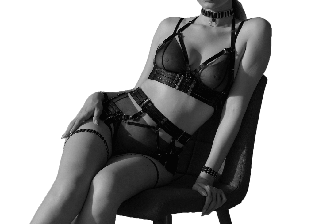 harness1