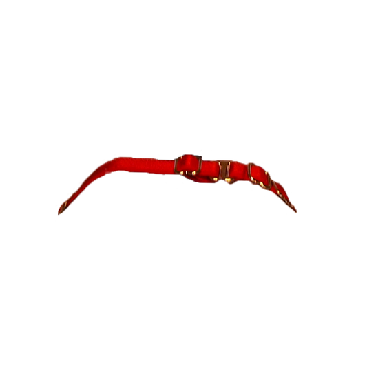Rose choker red