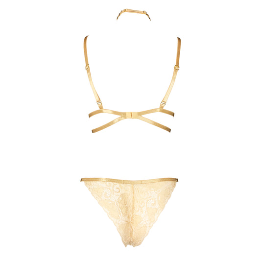 14k Gold lace lingerie set in champagne