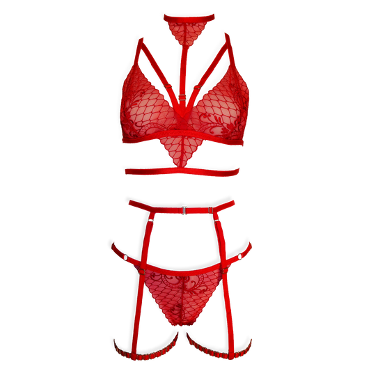 Ruby lace lingerie set with garters and detachable choker red